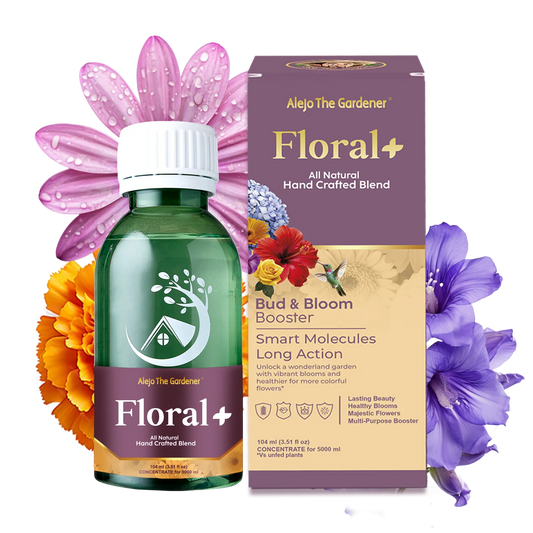 Floral+ All-Natural Concentrate