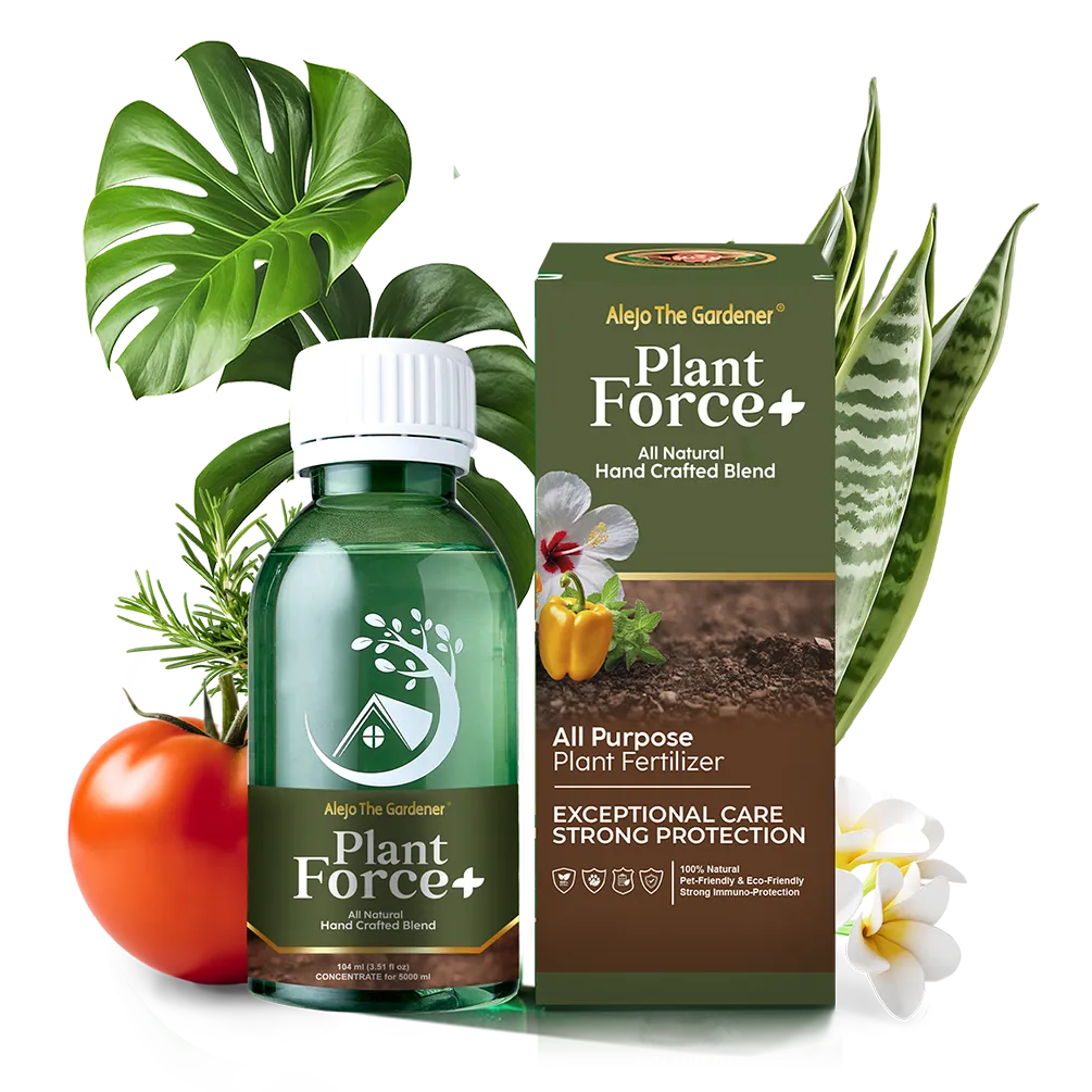 Plant Force+ 104ml – All-natural concentrated formula makes 5L of powerful plant food. Nourishes, strengthens, and protects all plant types.