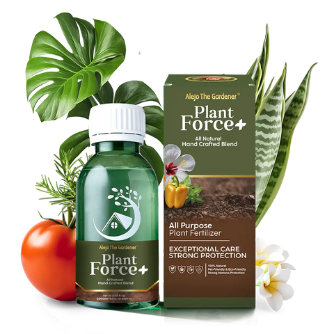 Plant Force+ 104ml – All-natural concentrated formula makes 5L of powerful plant food. Nourishes, strengthens, and protects all plant types.