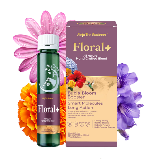 Floral+ All-Natural Concentrate