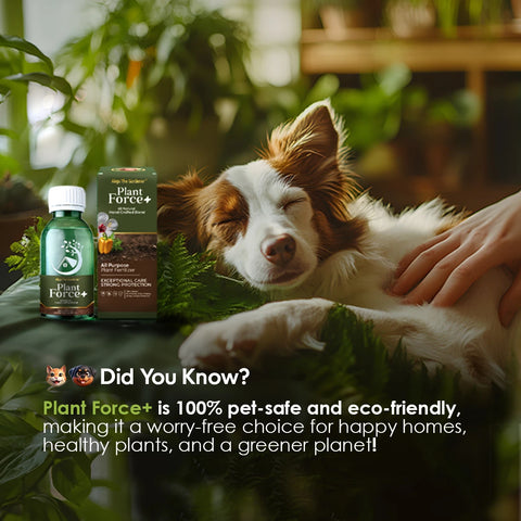 Did You Know? 🌿" followed by a reassuring message: "Our formula is 100% pet-safe and eco-friendly, making it a worry-free choice for your home, garden, and the ones you love most!