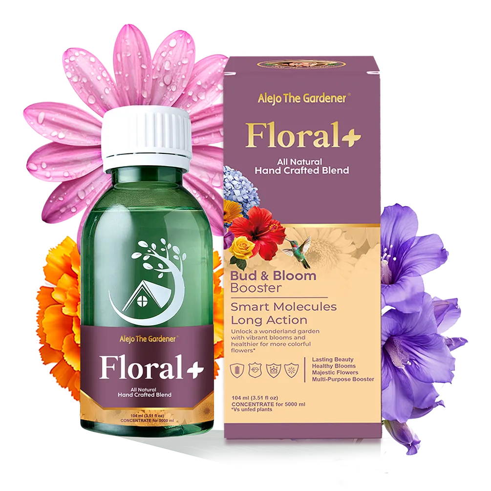 FLORAL+ Elixir 104ml – A vibrant bottle featuring Alejo The Gardener’s all-natural bloom booster, designed to enhance flower color, strength, and overall beauty.