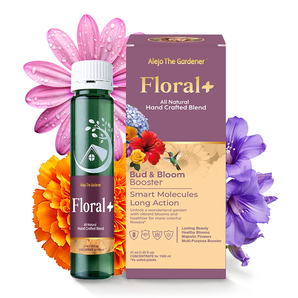 FLORAL+ Elixir 31ml – A vibrant bottle featuring Alejo The Gardener’s all-natural bloom booster, designed to enhance flower color, strength, and overall beauty.