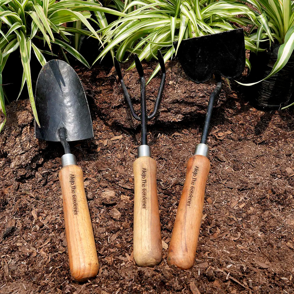 Hand-forged teak wood gardening tool set, including a 14" transplanting trowel, fork, hoe, and a durable nylon duffel bag for organized storage.